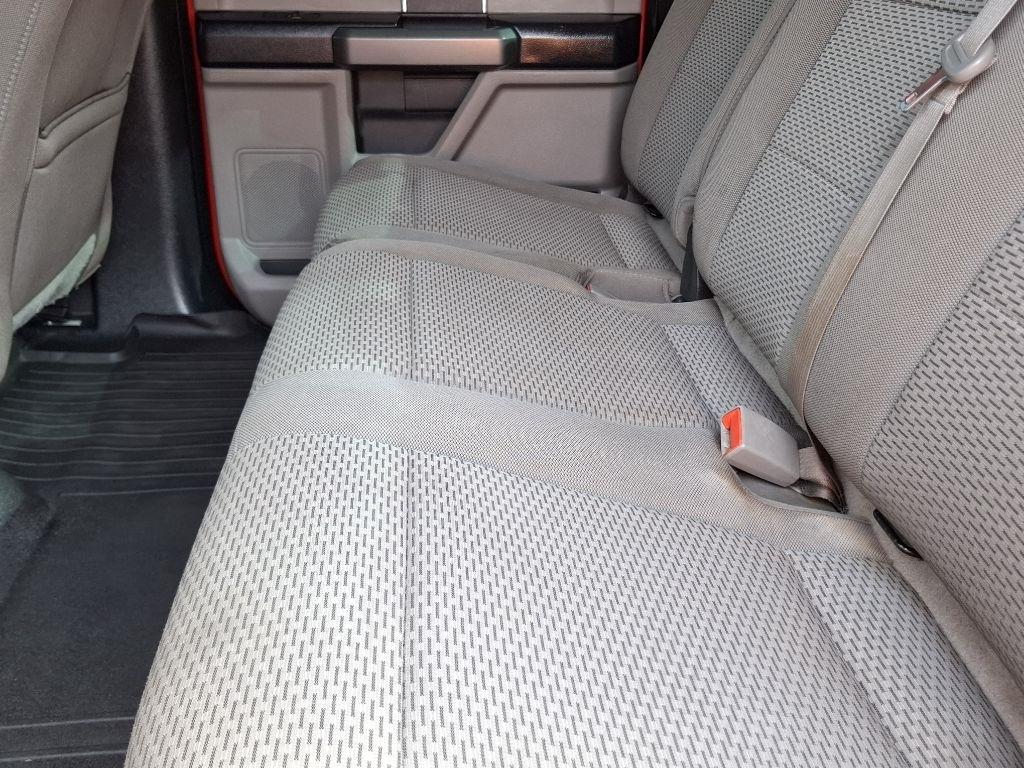Ford F-150 XLT SuperCrew 6.5-ft. Bed 4WD 2019