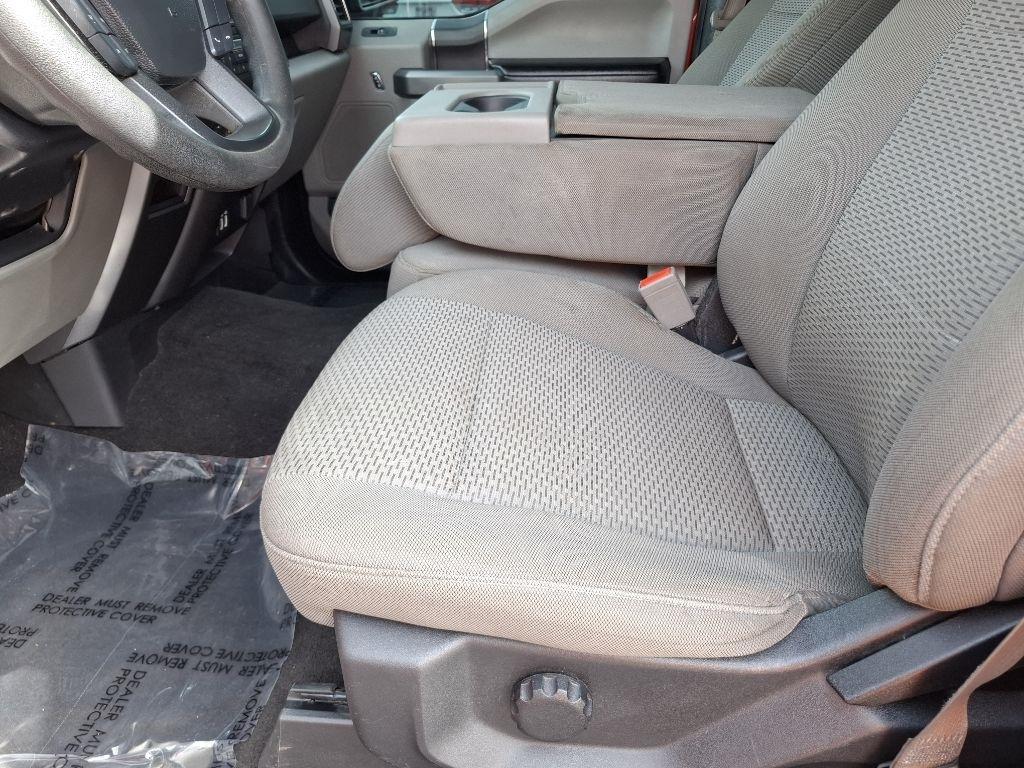 Ford F-150 XLT SuperCrew 6.5-ft. Bed 4WD 2019