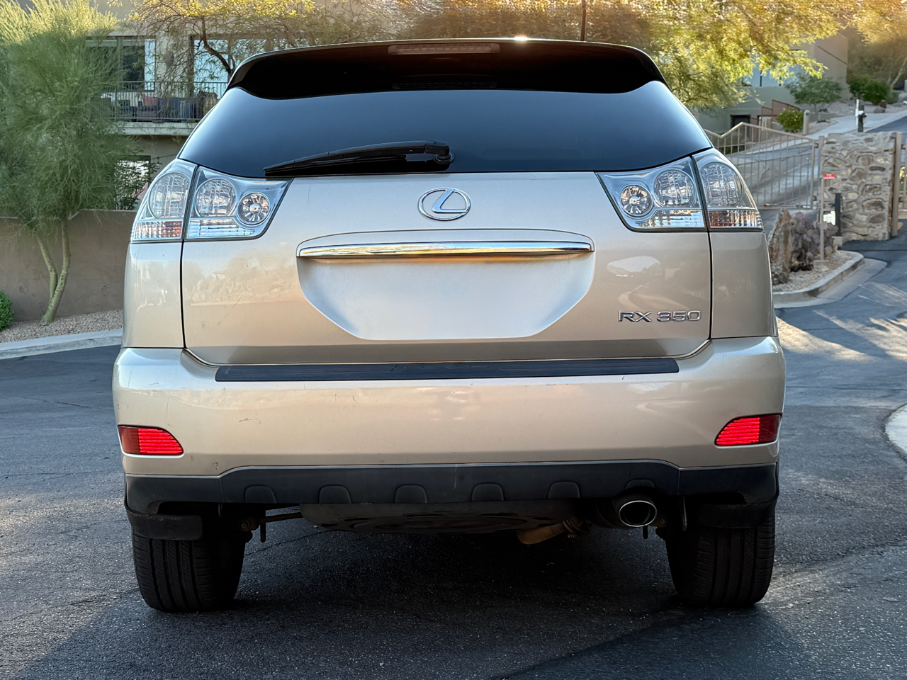 2008 Lexus RX 350 photo 2