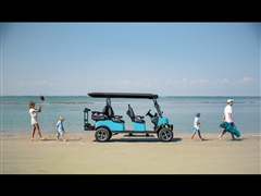 2026 Golf Cart Custom 