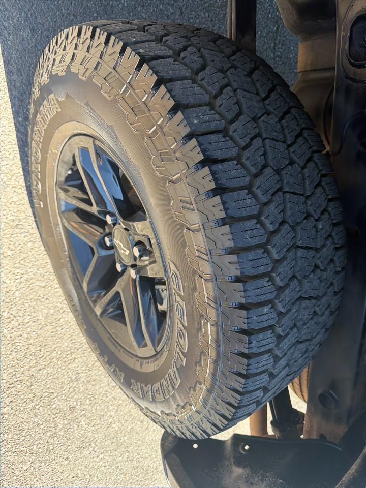 Chevrolet Silverado 1500 4WD Crew Cab 147" LT Trail Boss 2020