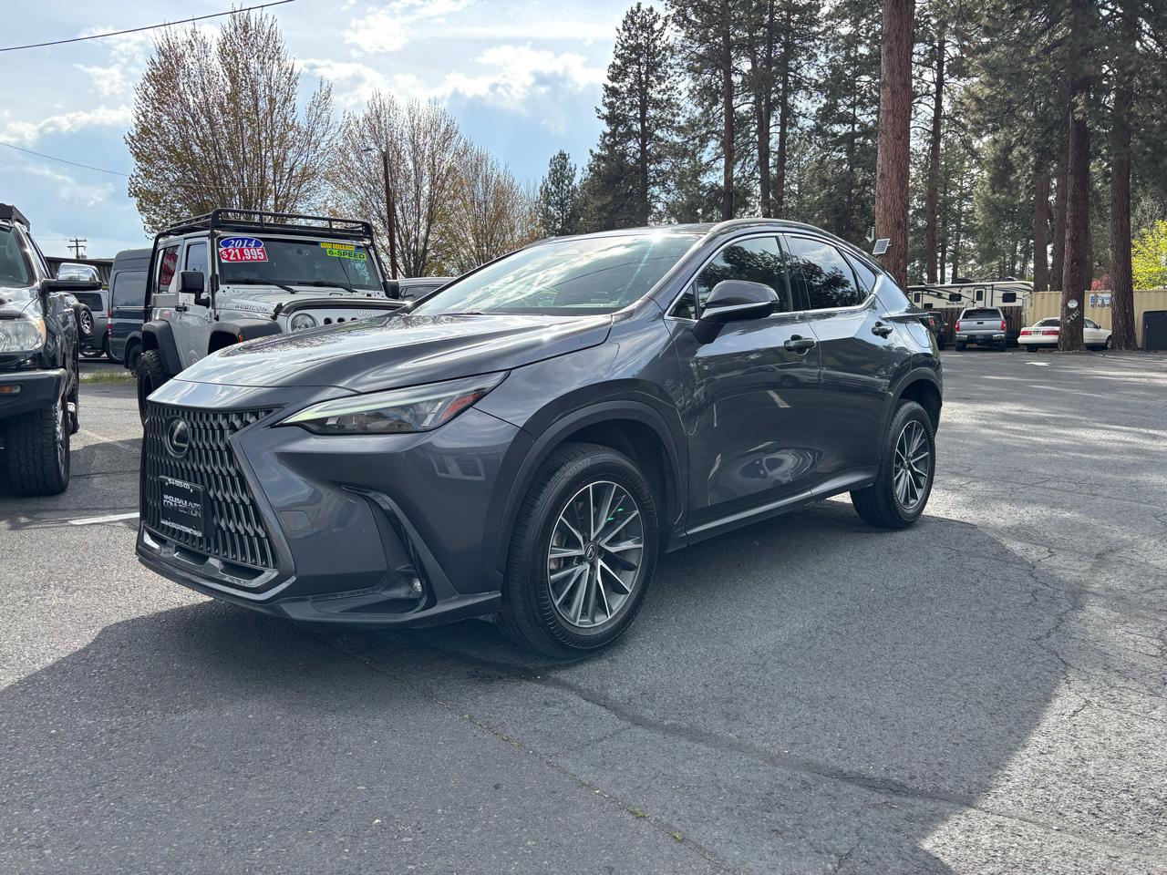 2022 Lexus NX 250 Base AWD