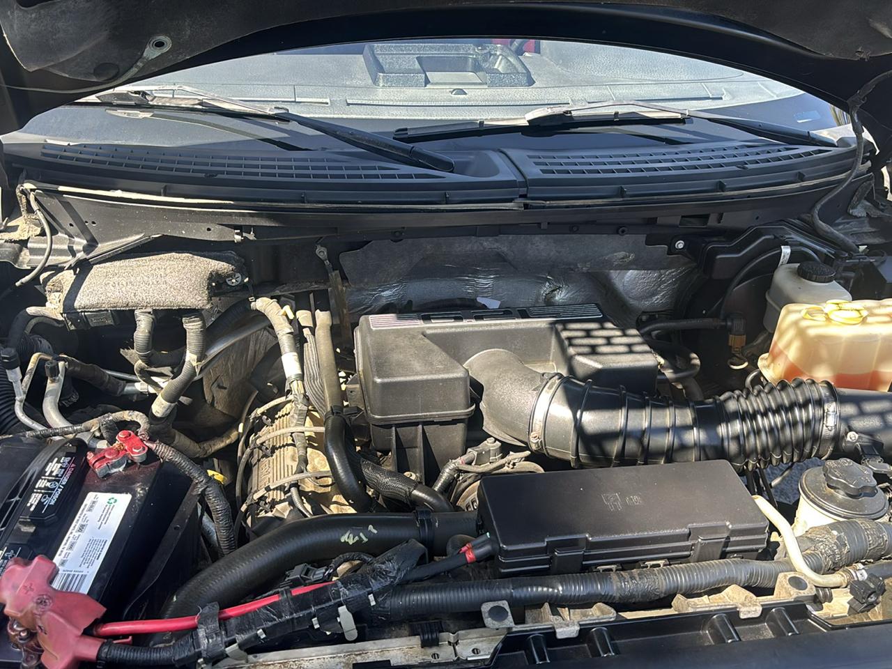 Ford F-150 4WD SuperCrew 145" SVT Raptor 2011