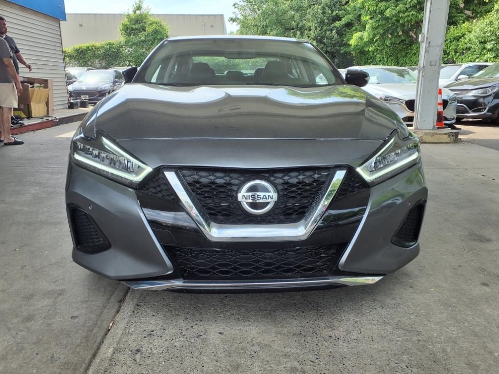 Nissan Maxima  2019