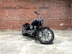 2007 Harley-Davidson FXSTSSE 