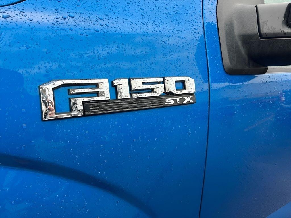 Ford F-150 XL SuperCrew 5.5-ft. Bed 4WD 2019