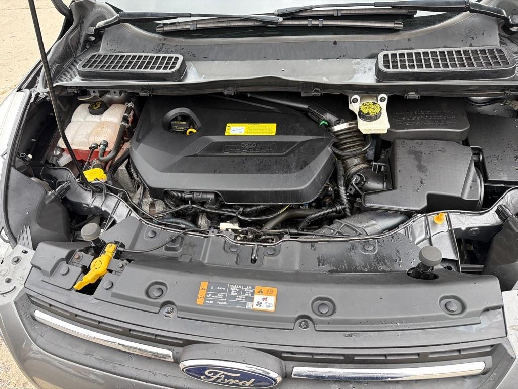 Ford Escape  2014