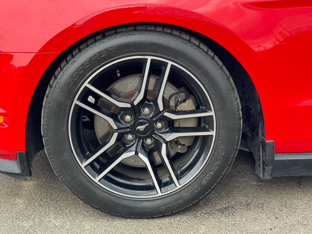 Ford Mustang GT Coupe 2011 Ford Mustang GT Coupe 2011