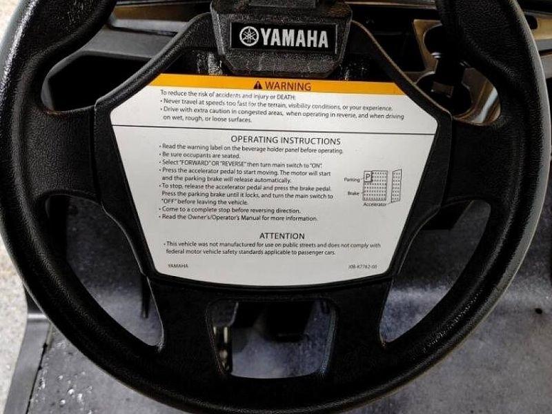 Yamaha Drive 2 Electric  2019