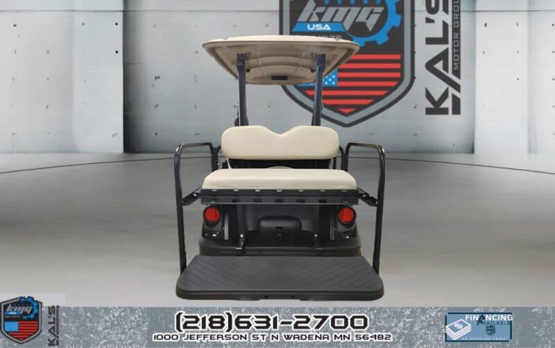 Yamaha Drive 2 EFI Gas Street Legal  2020