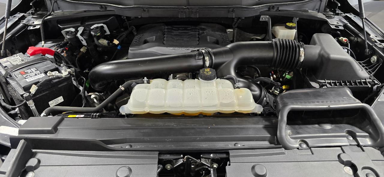 Ford F-150 XLT SuperCrew 5.5-ft. Bed 4WD 2022