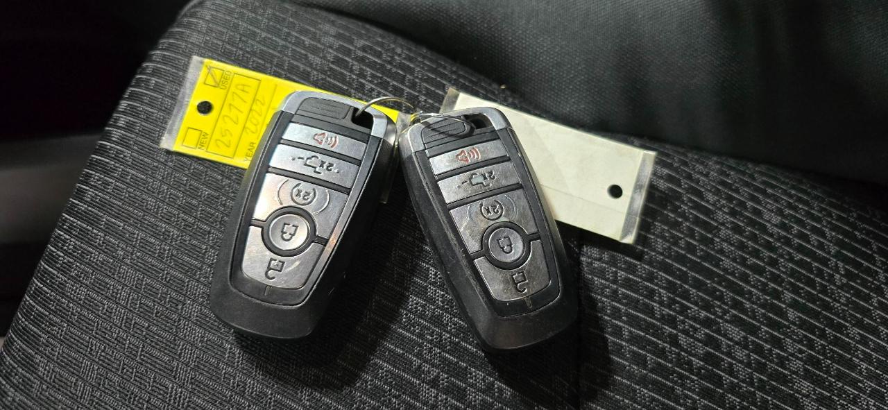 Ford F-150 XLT SuperCrew 5.5-ft. Bed 4WD 2022