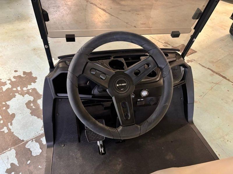 Yamaha Drive 2 LITHIUM Electric NEW Batteries  2019