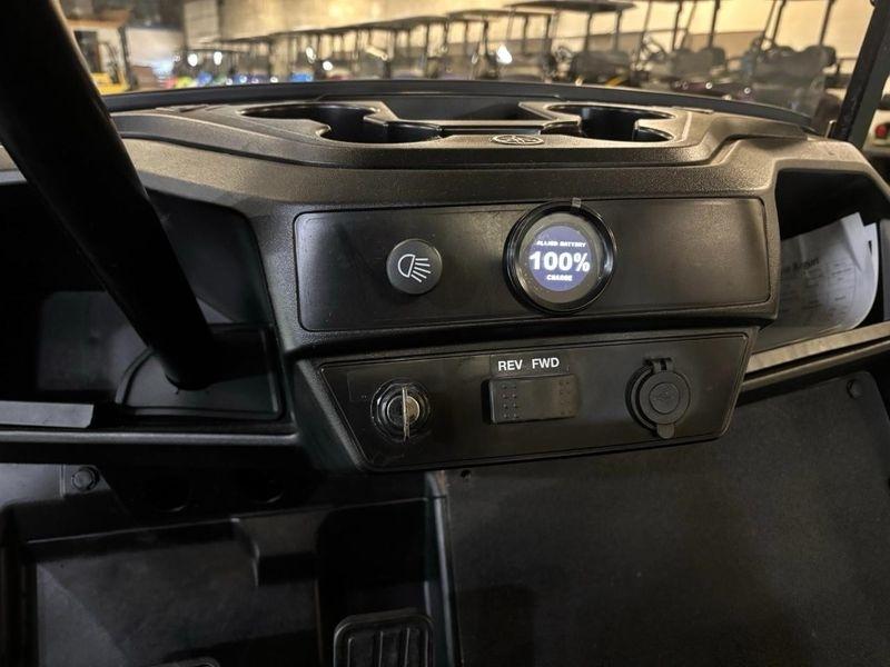 Yamaha Drive 2 LITHIUM Electric NEW Batteries  2019