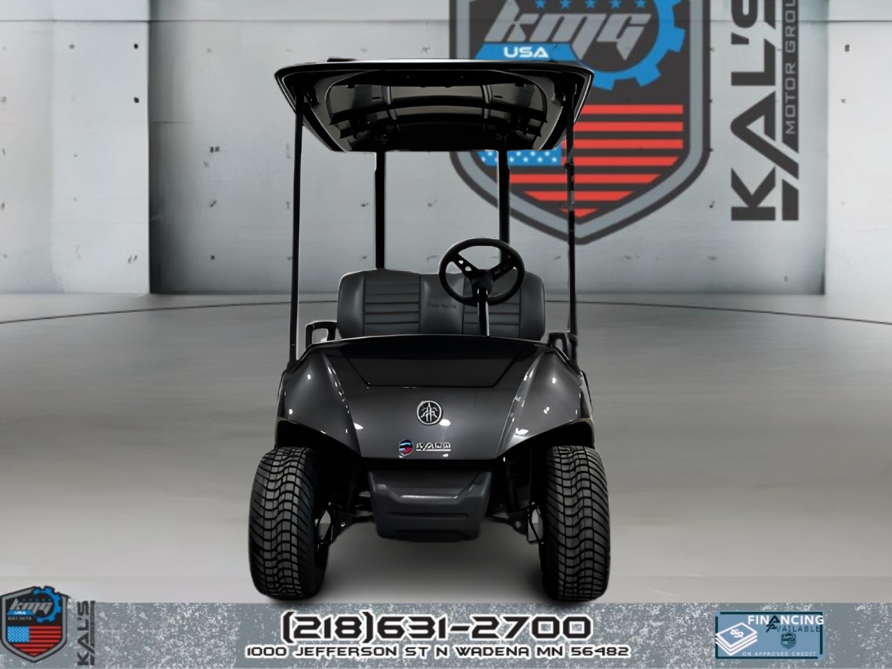 Yamaha Drive 2 Electric NEW Batteries  2019