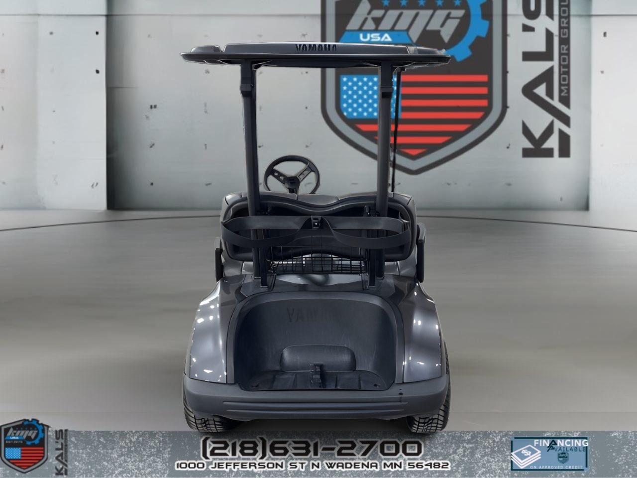 Yamaha Drive 2 Electric NEW Batteries  2019