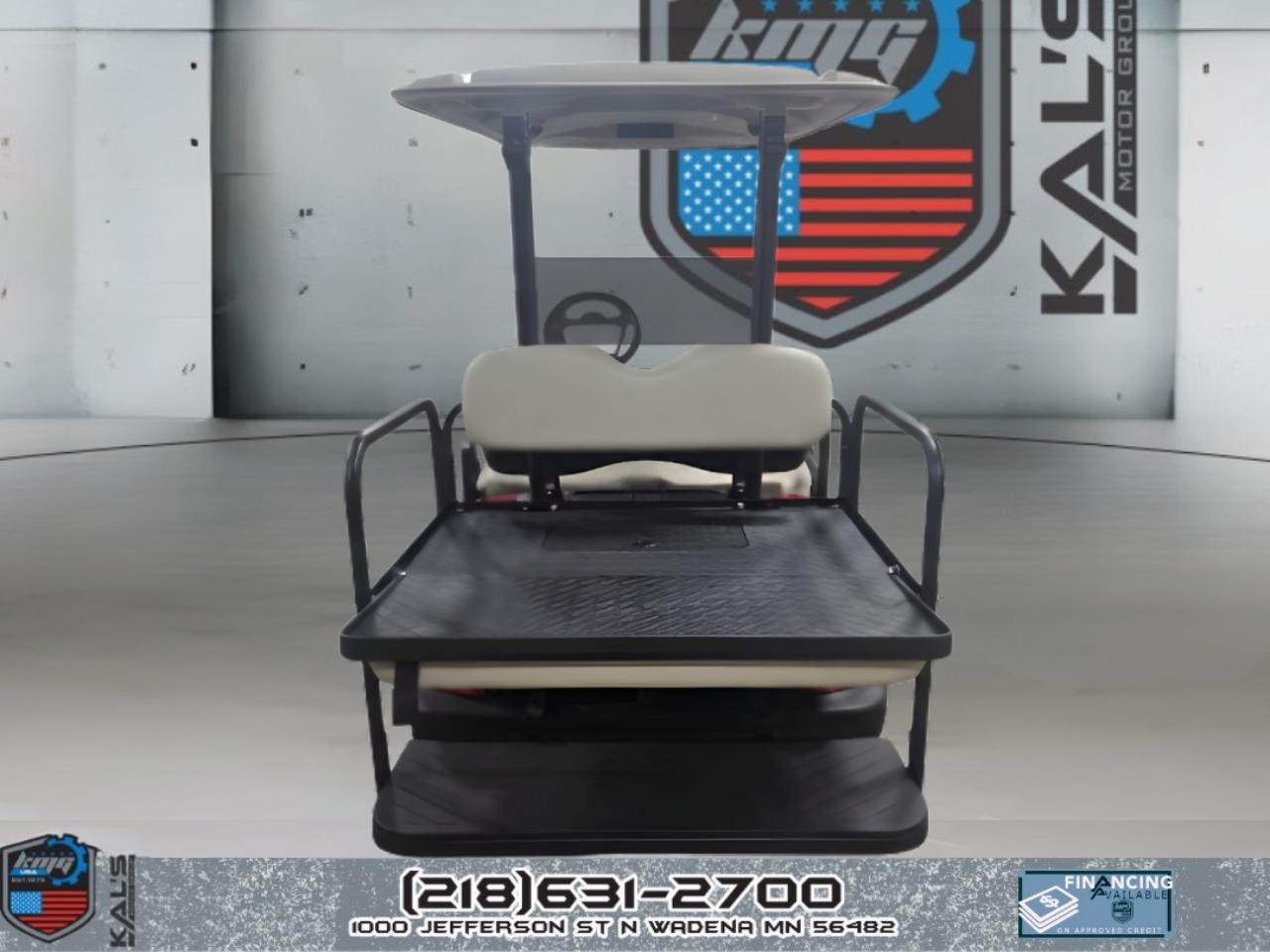 Yamaha Drive 2 QuieTech EFI Gas Street Legal  2019