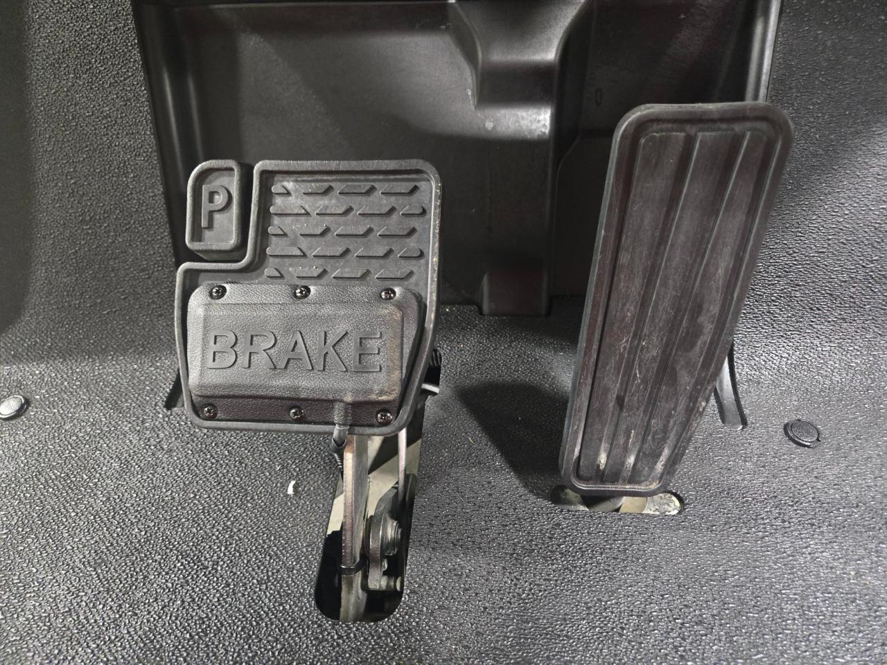 Yamaha Drive 2 QuieTech EFI Gas Street Legal  2019