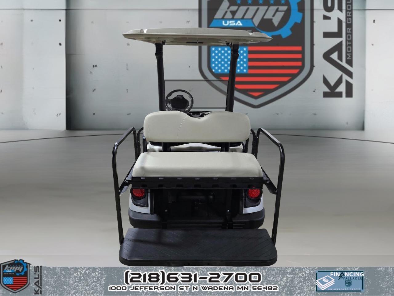 Yamaha Drive 2 QuieTech EFI Gas  2021