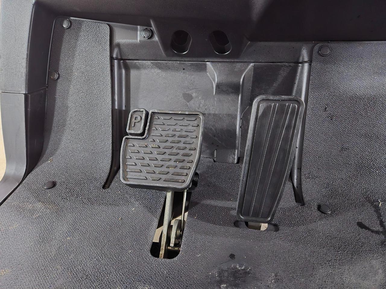 Yamaha Drive 2 EFI Gas  2020