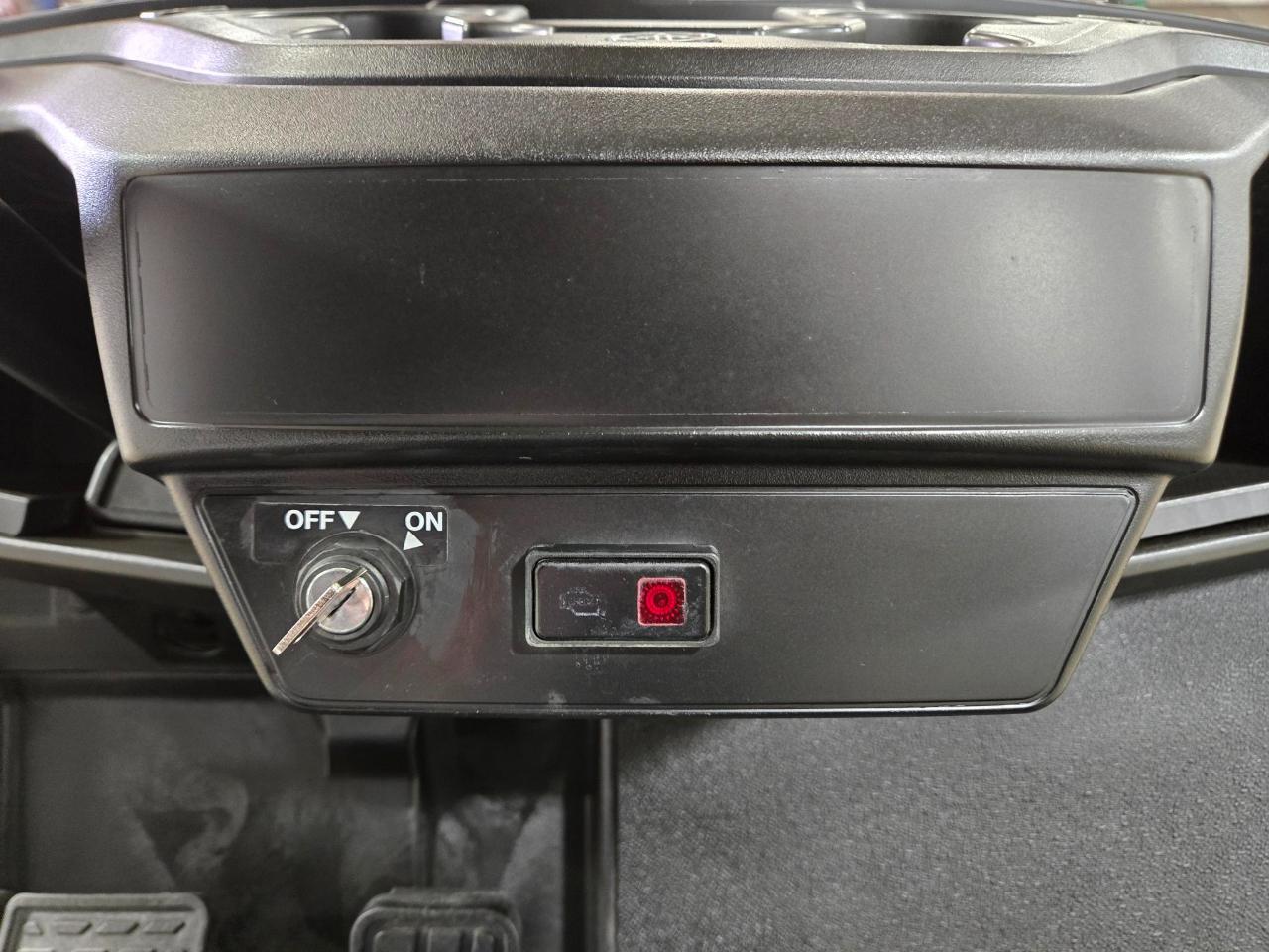 Yamaha Drive 2 QuieTech EFI Gas  2019