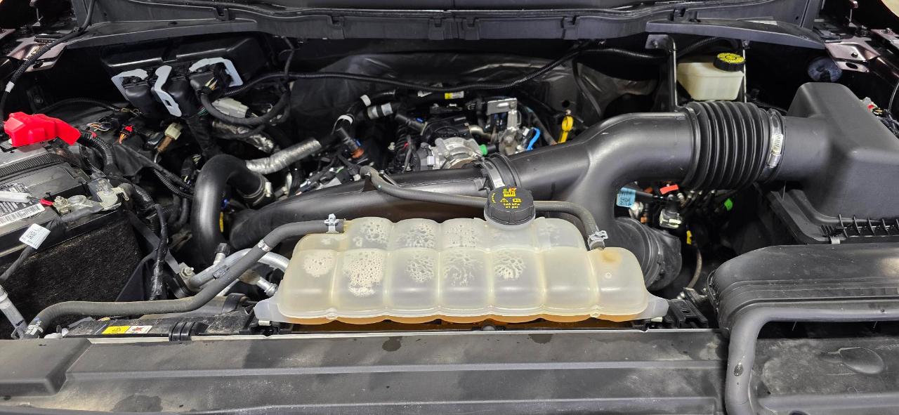 Ford F-150 XLT SuperCrew 5.5-ft. Bed 4WD 2021