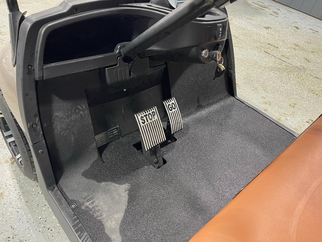 Advanced EV USA AEV 2+  2022