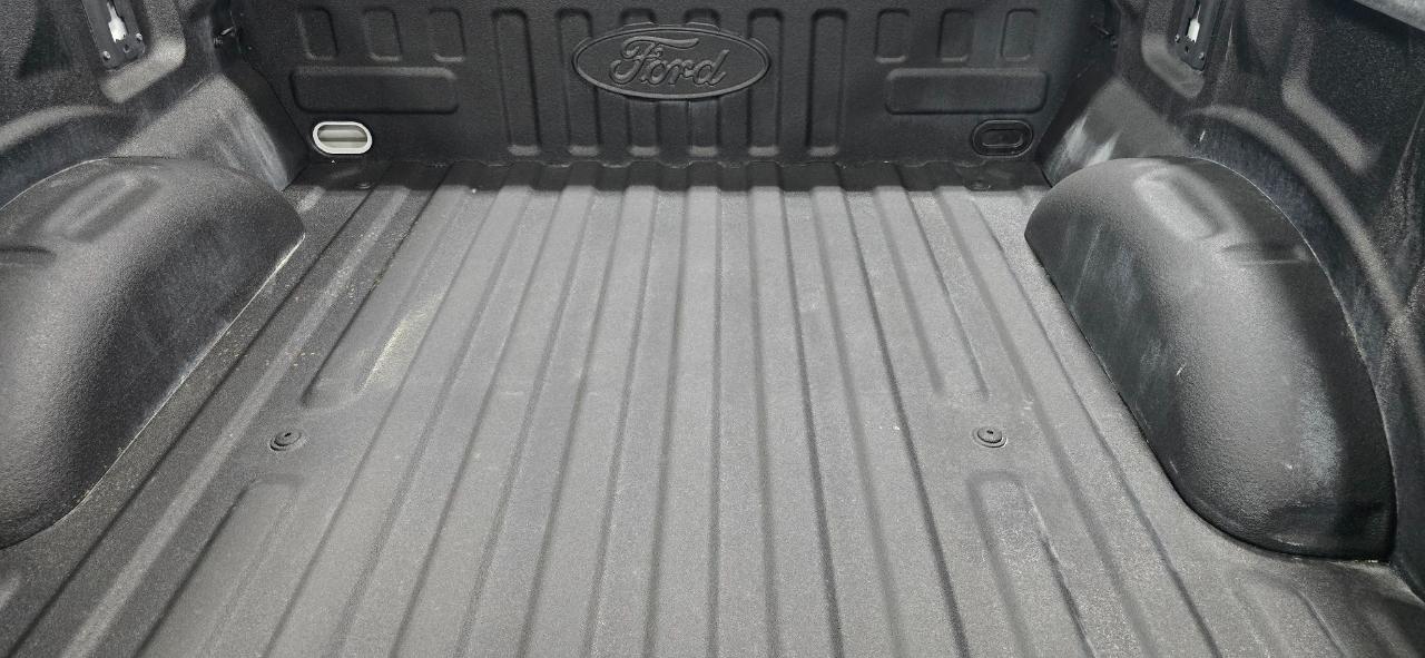Ford F-150 XLT 4WD SuperCrew 5.5' Box 2021