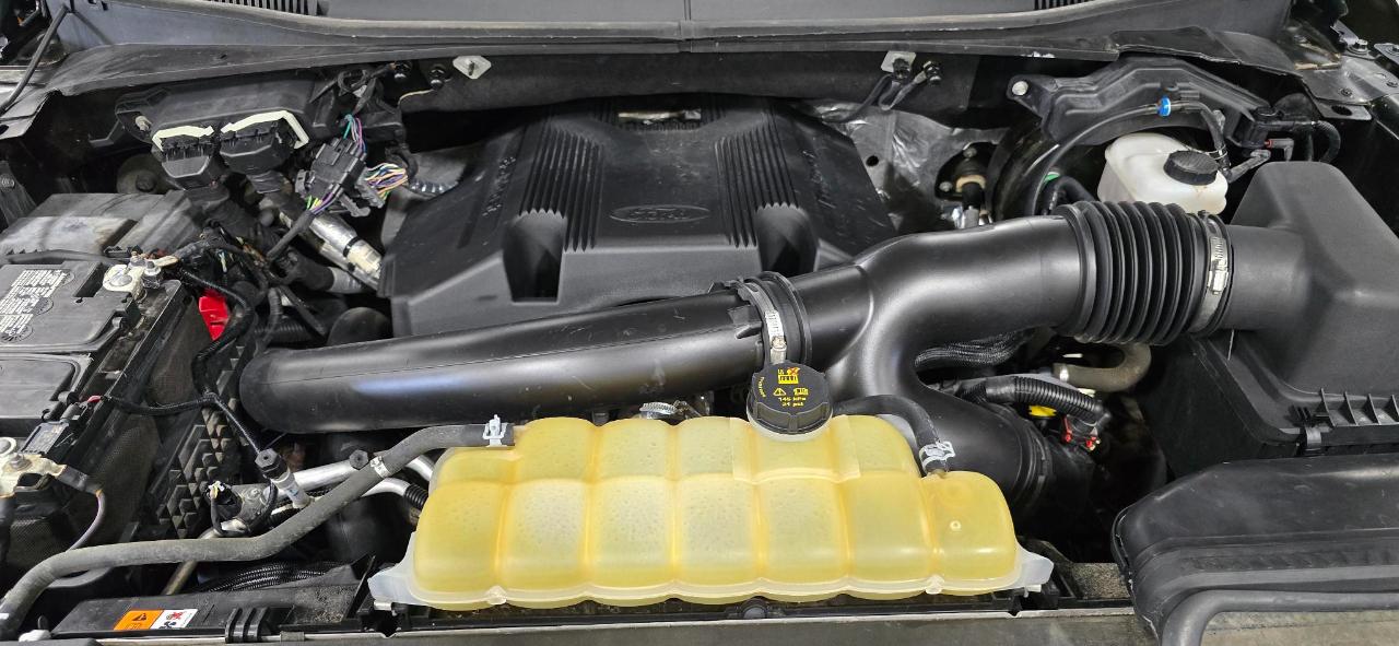 Ford F-150 XLT SuperCrew 6.5-ft Box 4WD 2019