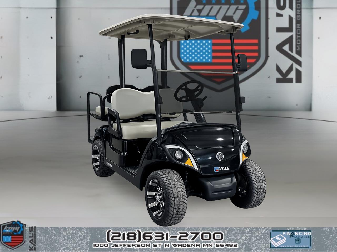 Yamaha Drive 2 QuieTech EFI Gas Street Legal  2019