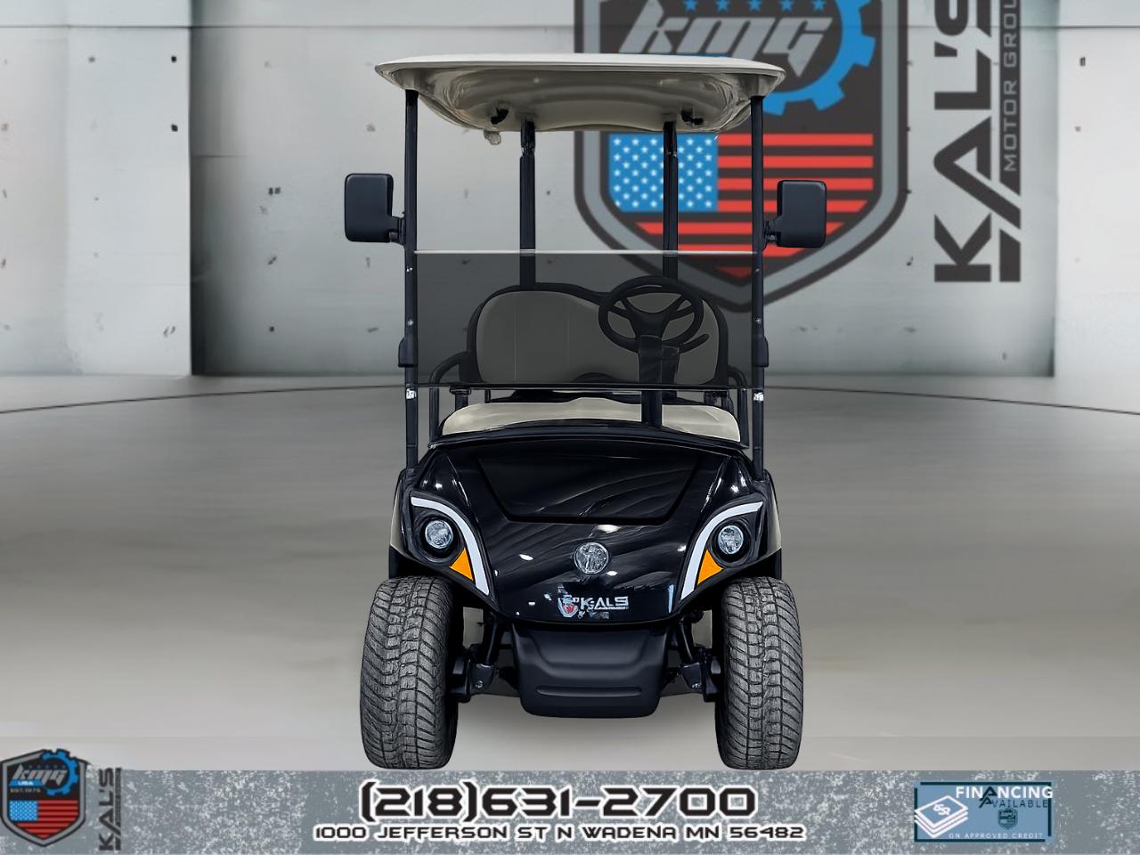 Yamaha Drive 2 QuieTech EFI Gas Street Legal  2019