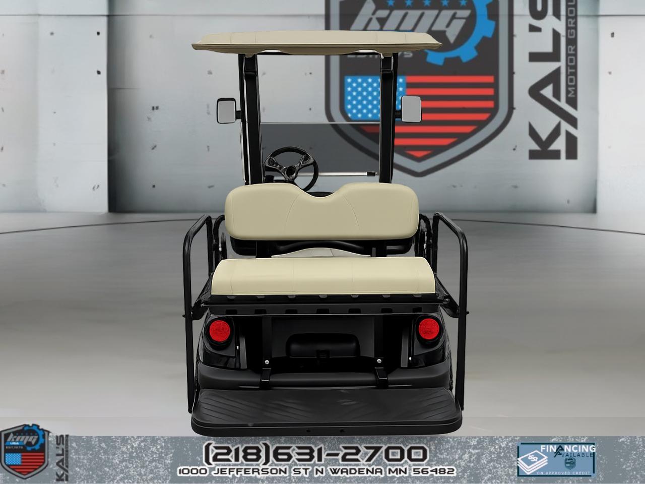 Yamaha Drive 2 QuieTech EFI Gas Street Legal  2019