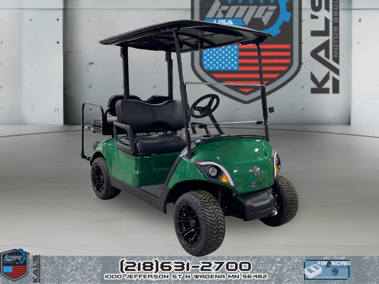 Yamaha Drive 2 LITHIUM Electric NEW Batteries  2019