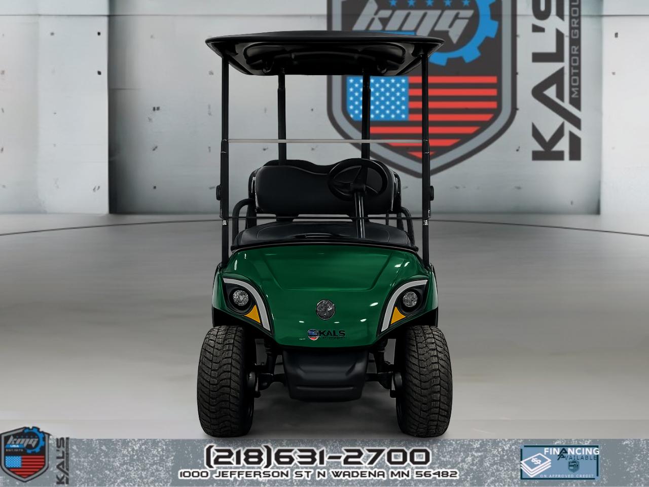 Yamaha Drive 2 LITHIUM Electric NEW Batteries  2019