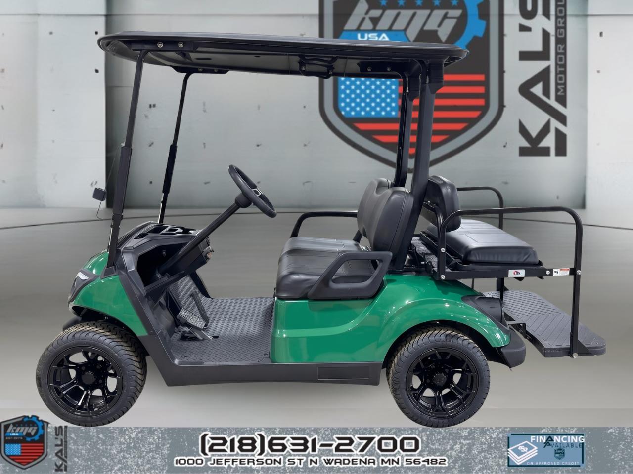 Yamaha Drive 2 LITHIUM Electric NEW Batteries  2019
