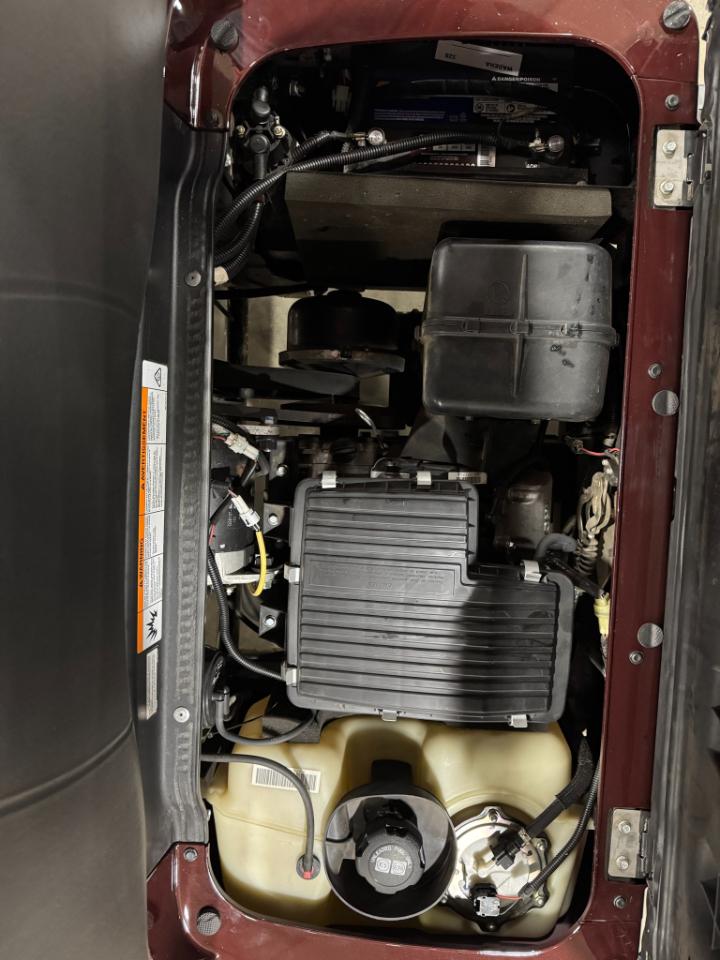 Yamaha Drive 2 QuieTech EFI Gas  2019