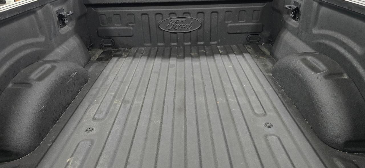 Ford F-150 XLT SuperCrew 6.5-ft. Bed 4WD 2020
