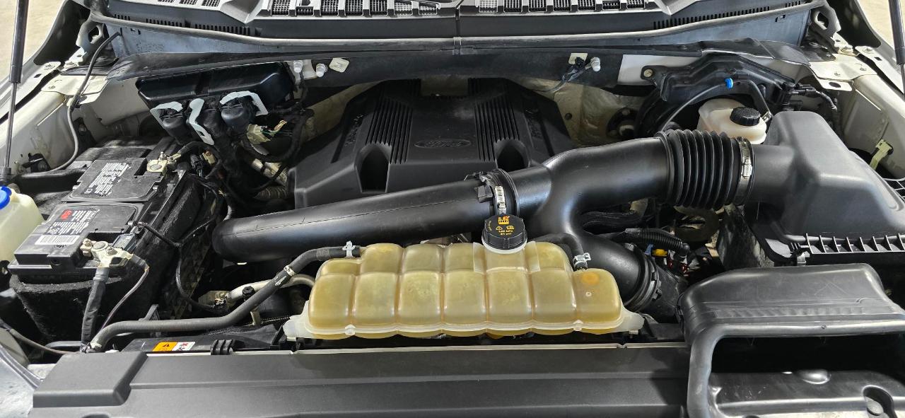 Ford F-150 XLT SuperCrew 6.5-ft. Bed 4WD 2020