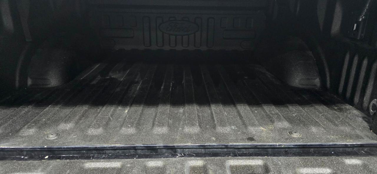 Ford F-150 XL SuperCrew 6.5-ft. Bed 4WD 2021