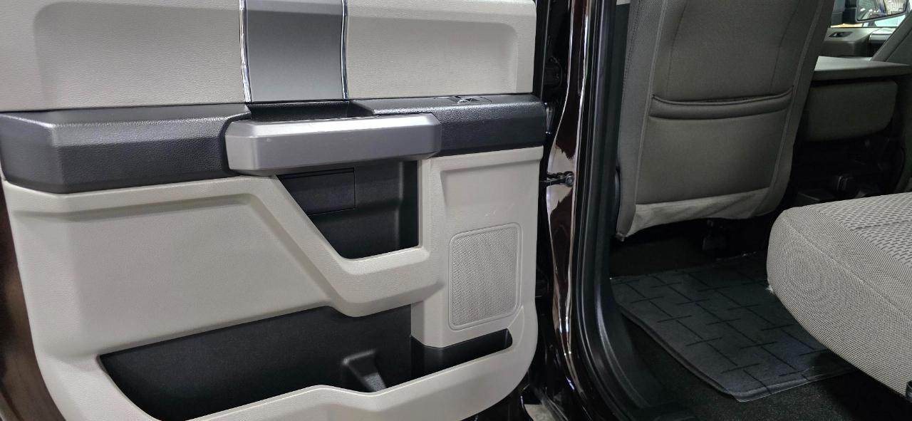 Ford F-150 XLT SuperCrew Short Bed 4WD 2019
