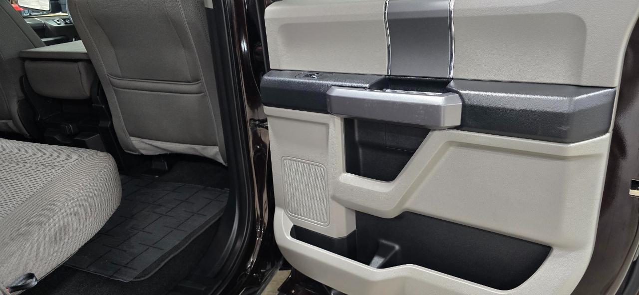 Ford F-150 XLT SuperCrew Short Bed 4WD 2019