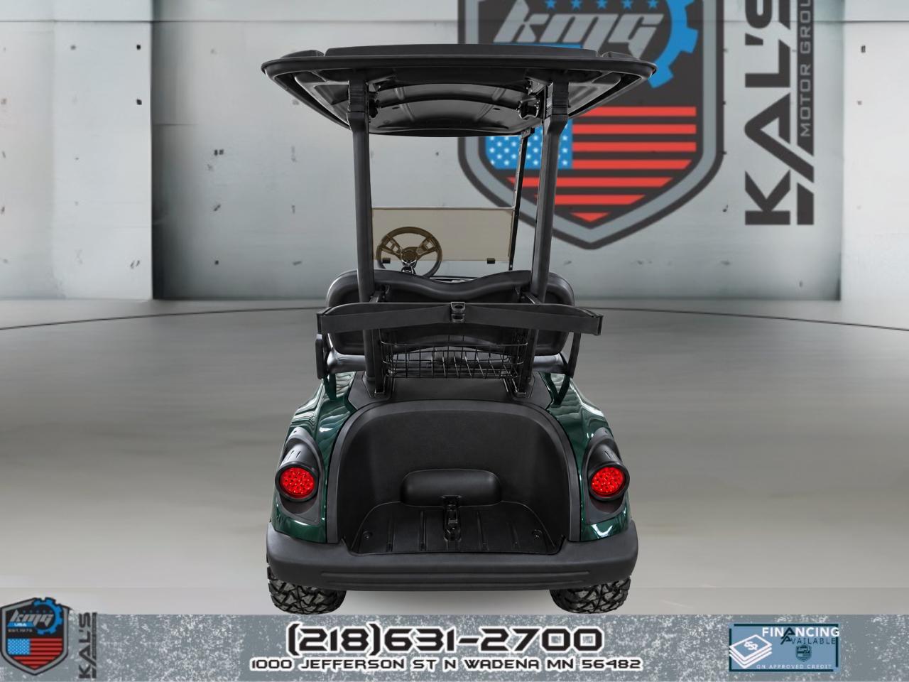 Yamaha Electric  2019