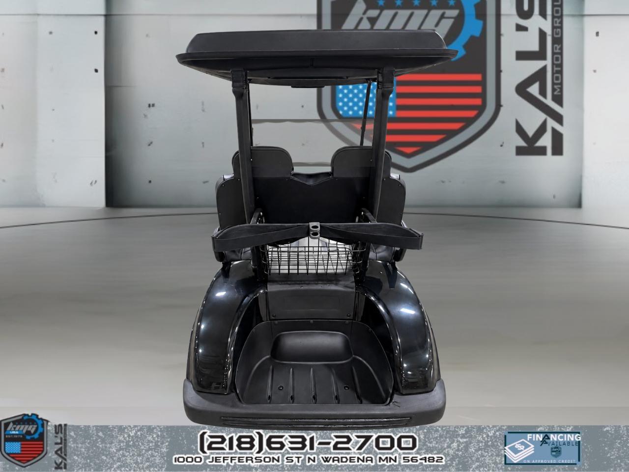 Yamaha Electric  2010