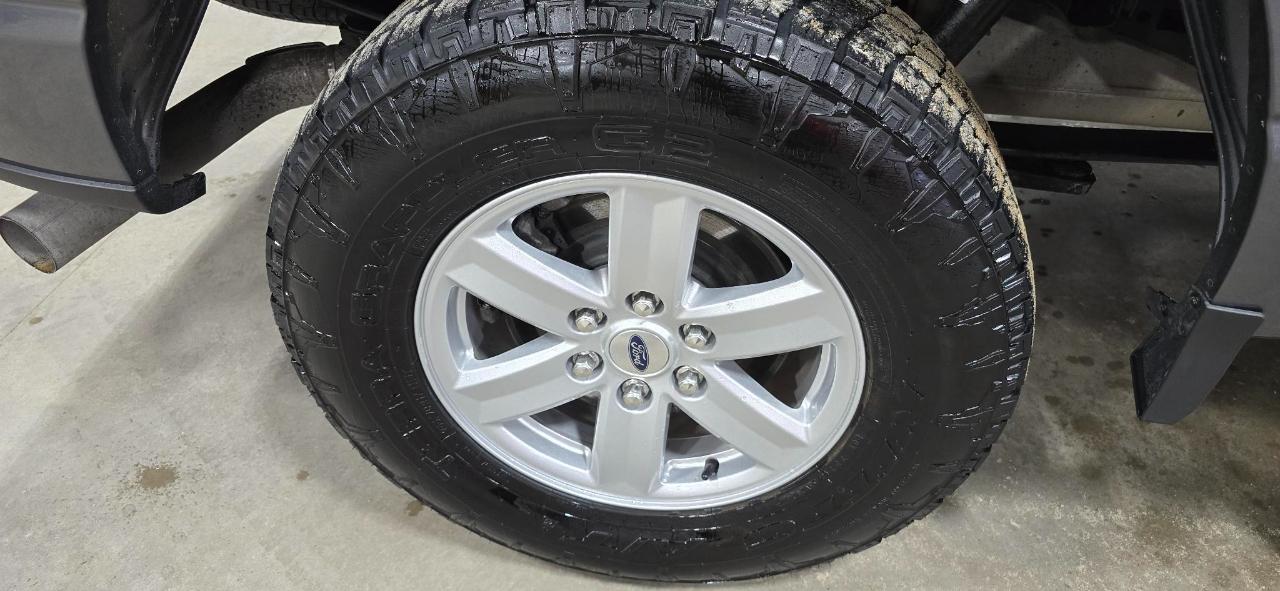 Ford F-150 XLT SuperCrew 5.5-ft. Bed 4WD 2022