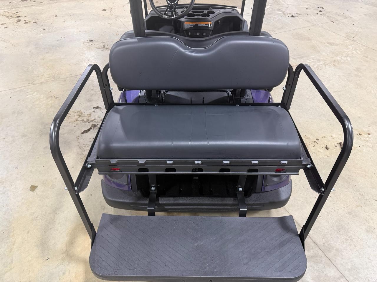 Yamaha Electric  2019