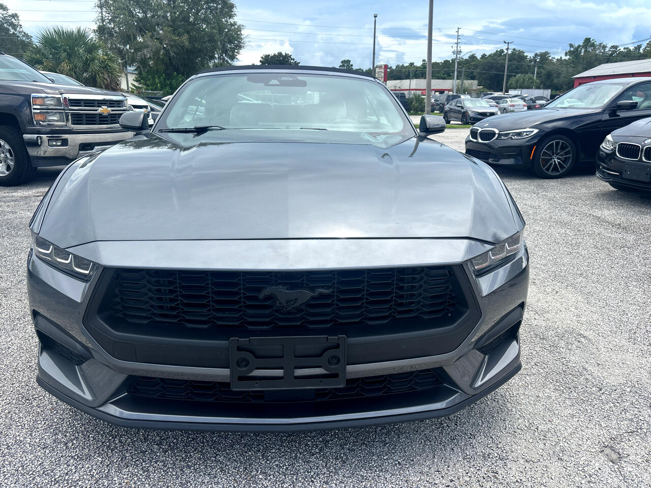 Ford Mustang EcoBoost Premium Convertible 2024 Ford Mustang EcoBoost Premium Convertible 2024