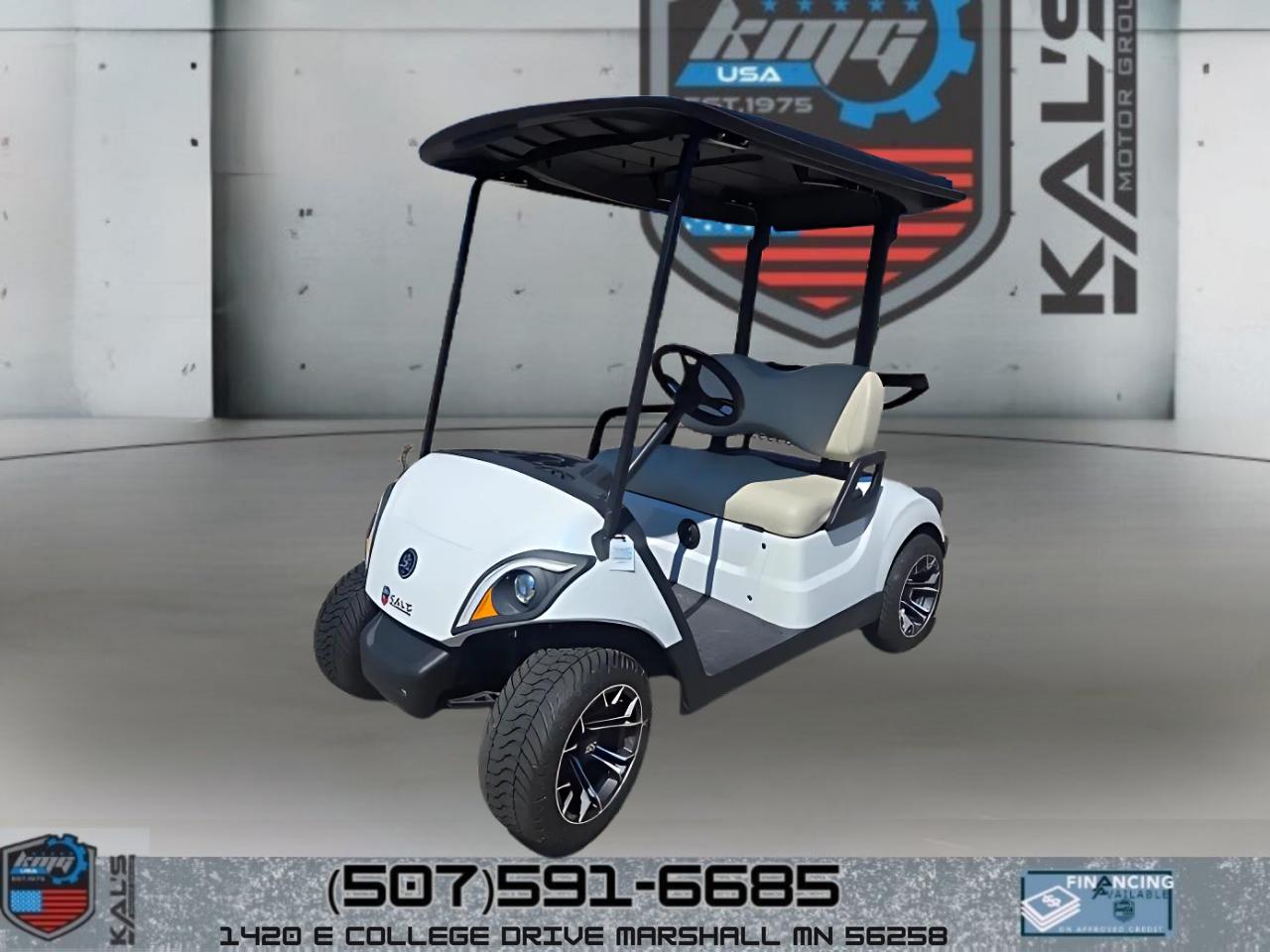 Yamaha Drive 2 Electric NEW Batteries  2017