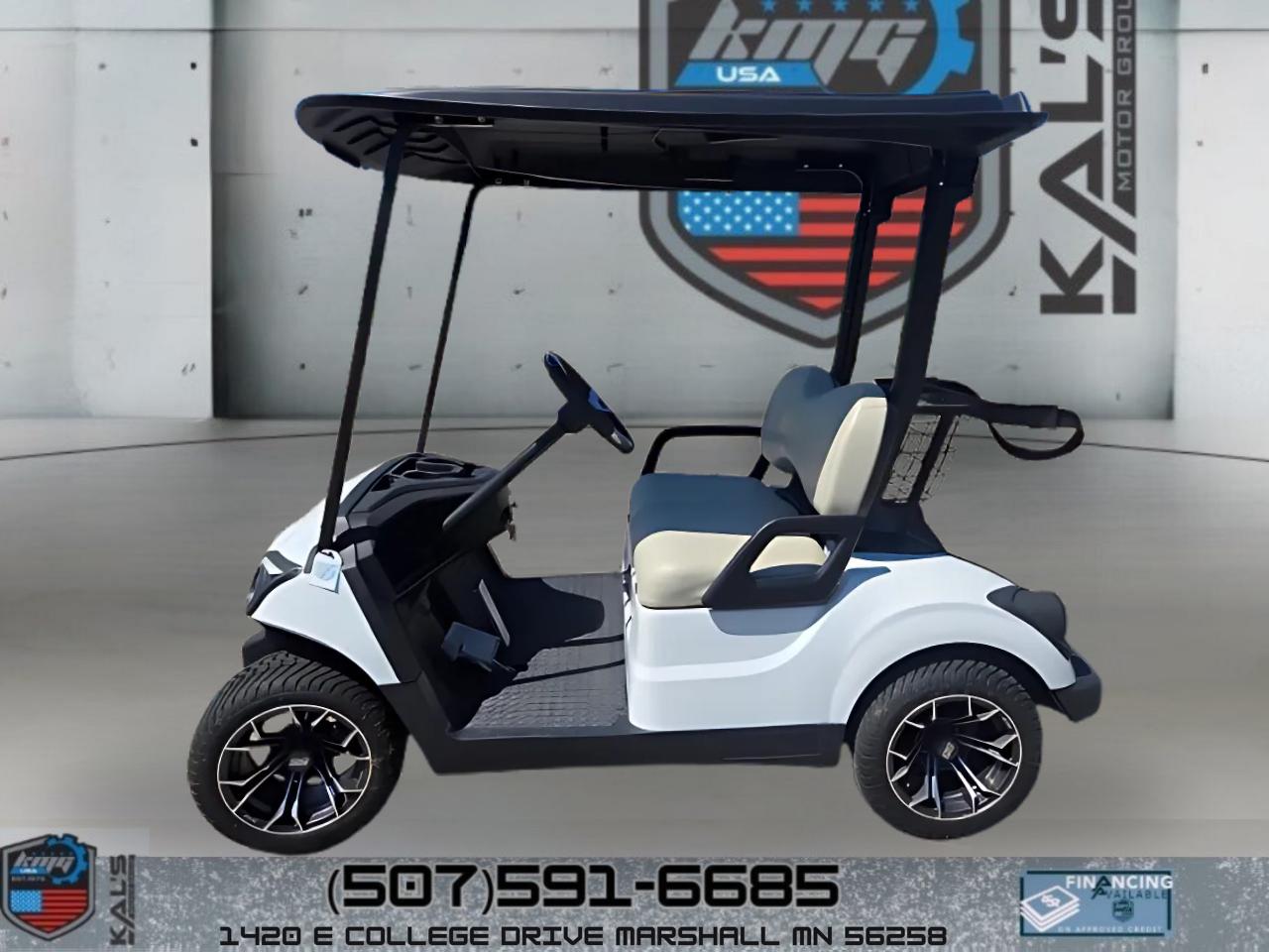 Yamaha Drive 2 Electric NEW Batteries  2017