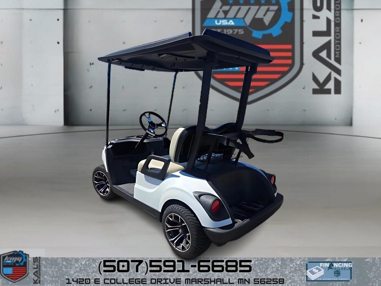 Yamaha Drive 2 Electric NEW Batteries  2017