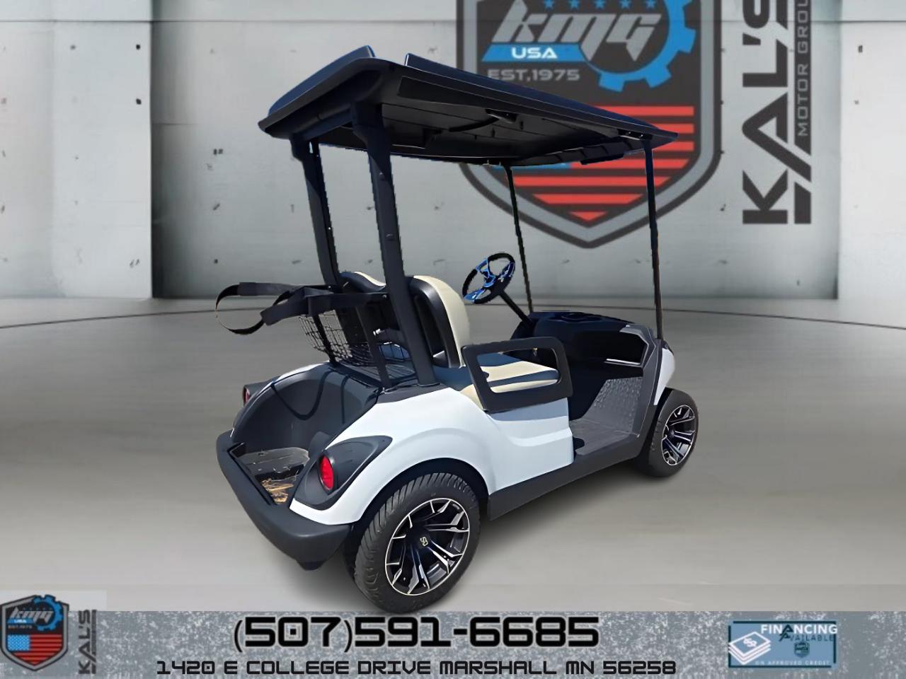 Yamaha Drive 2 Electric NEW Batteries  2017